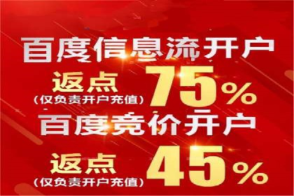 百度SEO推广的五大成功企业案例